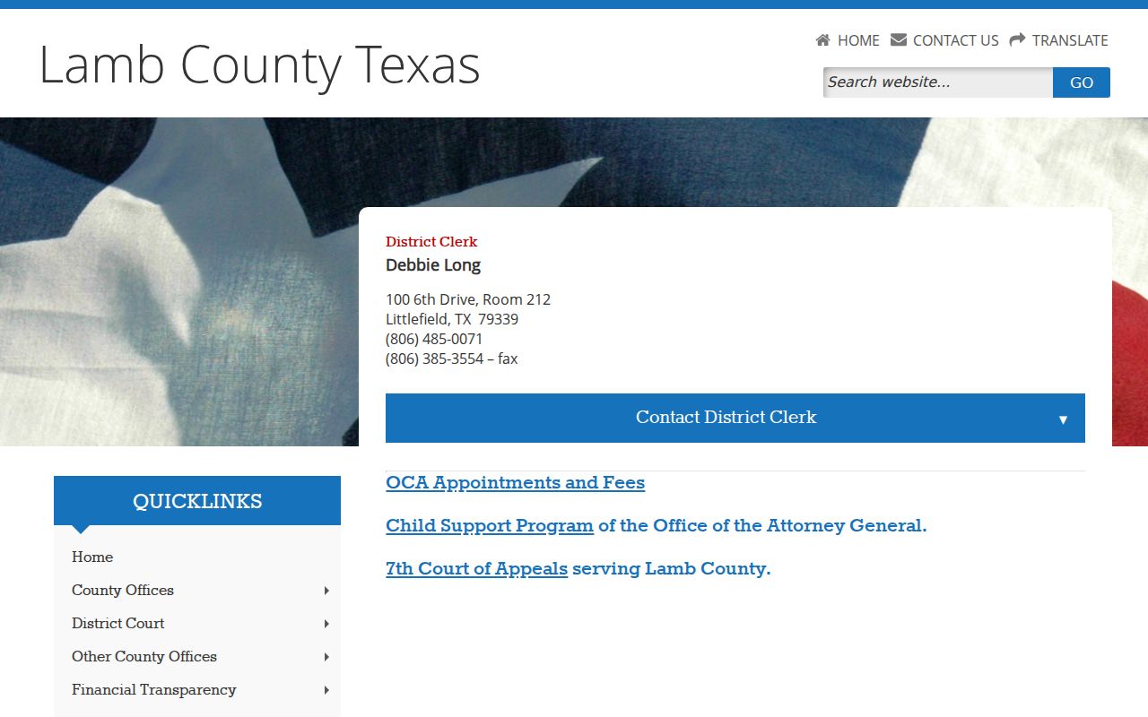 Lamb County criminal felony records District Clerk